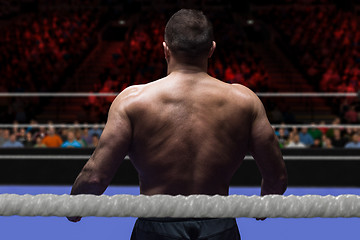 Image showing professional kickboxer in the training ring