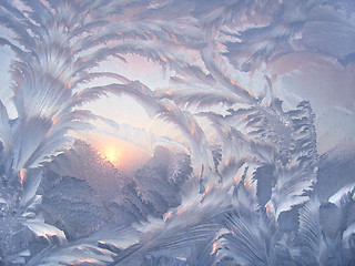 Image showing Beautiful winter pattern