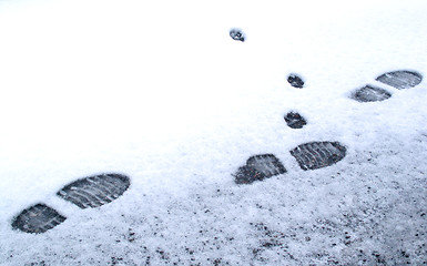 Image showing footprints in the snow (man and cat)