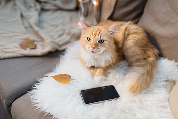 Image showing red cat lying on sofa with smartphone at home