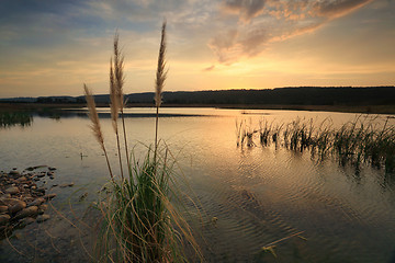 Image showing Sunset Penrith Lakes