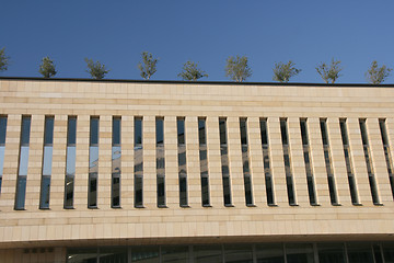 Image showing trees on the roof