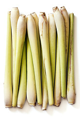 Image showing Group of fresh lemongrass (lemon grass, barbed wire grass, silky