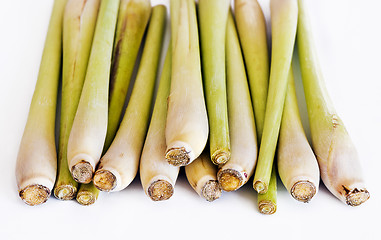 Image showing Group of fresh lemongrass 