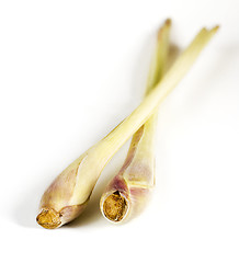 Image showing Two pieces of lemon grass