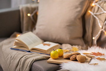 Image showing lemons, book, almond and oatmeal cookies on sofa