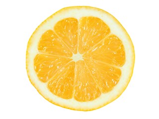 Image showing Lemon slice on white