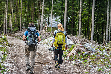 Image showing Rear view of two young active couple walking down the trail path on forest.