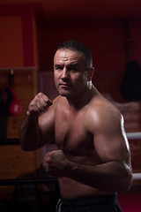 Image showing professional kickboxer in the training ring