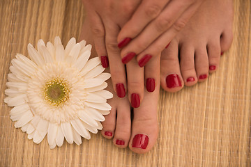 Image showing female feet and hands at spa salon