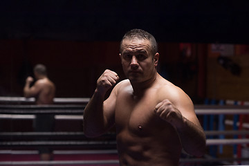 Image showing professional kickboxer in the training ring