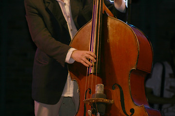 Image showing bass player 2