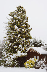 Image showing Tranquil snowy scene of a wooden hut covered in snow