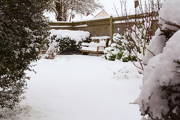 Image showing Shrubs and bench in country garden covered with snow