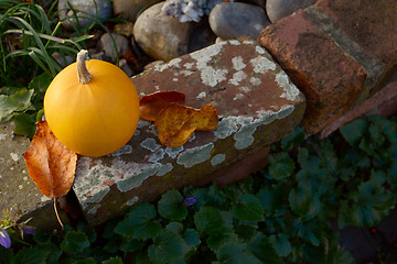 Image showing Autumn leaves and orange gourd on weathered brick wall