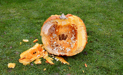 Image showing Cross-section of a large orange pumpkin