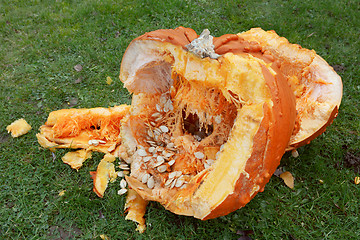 Image showing Roughly broken pumpkin pieces