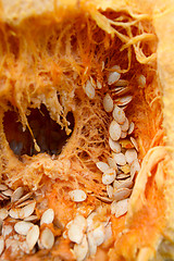 Image showing Inside of a pumpkin with stringy flesh and seeds