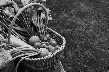 Image showing Woven basket filled with freshly harvested vegetables from an al