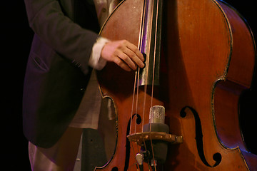 Image showing bass player