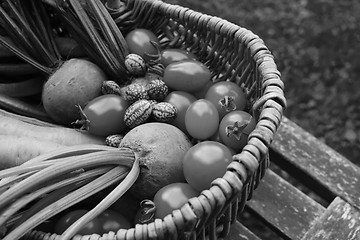 Image showing Beetroot, tomatoes, cucamelons and carrots in a wicker basket