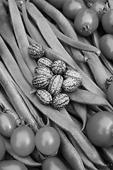 Image showing Cucamelons and tomatoes on runner beans