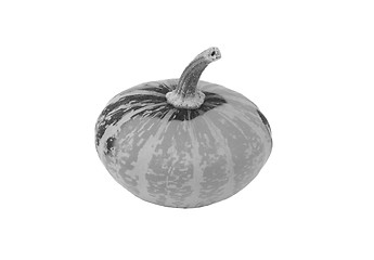 Image showing Small disc-shaped ornamental gourd 