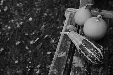 Image showing Striped gourd and two smooth ornamental gourds 