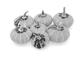 Image showing Group of seven small disc-shaped ornamental gourds