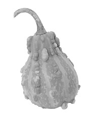 Image showing Pale pear-shaped ornamental gourd