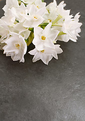 Image showing Cluster of white narcissus blooms on mottled grey background