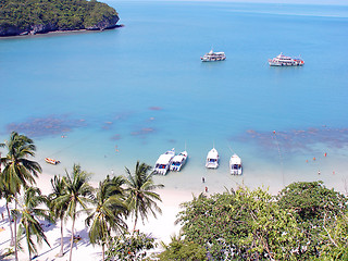 Image showing exotic beach