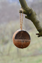 Image showing Bird feeder