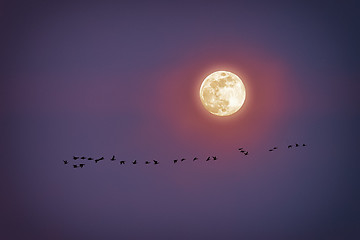 Image showing Moon Sky