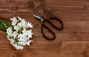 Image showing White narcissus flowers with scissors on a wooden background