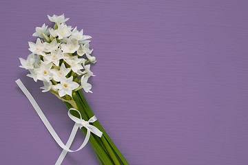 Image showing White narcissus blooms tied with ribbon on purple background