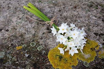 Image showing Narcissi tied with twine, lying on a stone bench