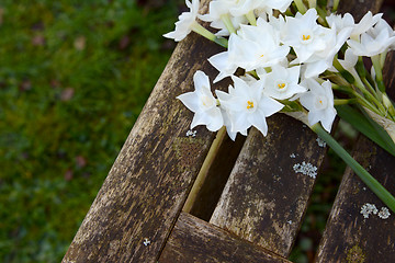 Image showing White narcissi flowers on a wooden garden seat