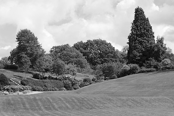 Image showing Calverley Grounds - picturesque public park in Tunbridge Wells