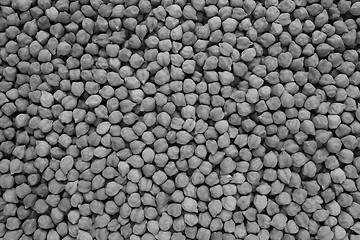 Image showing Dried black chickpeas background