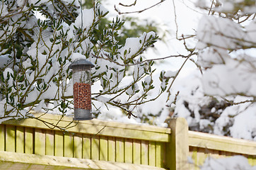 Image showing Bird feeder filled with peanuts hangs in snowy garden