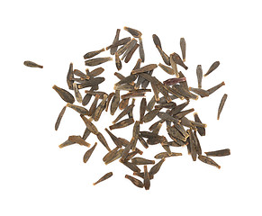 Image showing Dahlia flower seeds