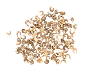 Image showing Calendula flower seeds