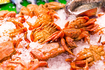 Image showing Crab in iced at wet market