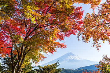 Image showing Fuji in autumn