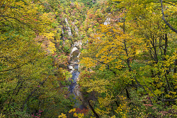 Image showing Naruko canyon in autumn forest