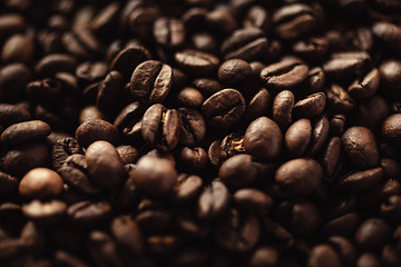 Image showing Closeup of coffee beans
