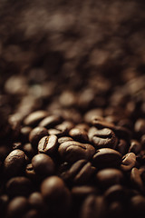Image showing Closeup of coffee beans
