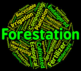 Image showing Forestation Word Shows Woodlands Woods And Trees