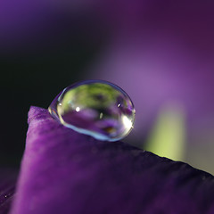 Image showing violet tear